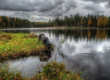 осенний пейзаж с собакой / коркинское озеро и кане корсо