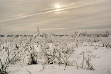 Морозное утро / где-то под Ивенцом, 2011