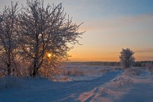 Зимние прогулки... / фото...