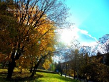 Golden Autumn / г. Кировоград