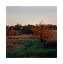 &nbsp; / Цветной вариант