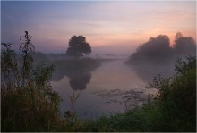 В утренней дреме / Моя любимая речка Лесная