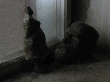 Художник и натура / no comment