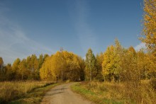 золото осени / Всем привет мои друзья!