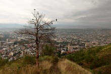 Грузия ... / Тбилиси