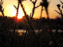 жаркий закат / ..........
