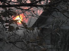 холодное солнце / холодное солнце предвестник зимы