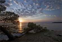 Запах сосен,моря и заката. / Адриатическое побережье Хорватии,полуостров Истрия.
