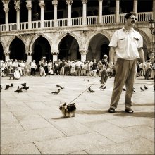 Венецианская сторожевая / Венеция, проходя мимо очереди в Дворец Дожей, 1997