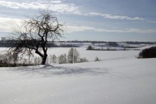 Беларуссия,Витебск / Деревня Городно,что в Бешенковическом районе