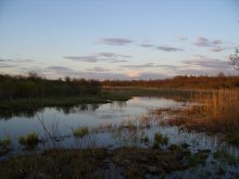 на закате / ***