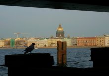 жить под мостом / ***