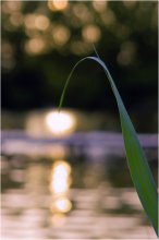 Солнечный фонарик / ***