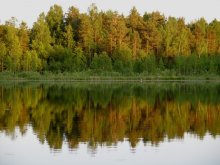 отражаясь / ***