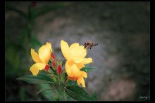 работа такая / ***