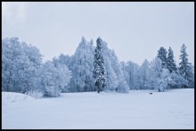 зимнее утро / *****