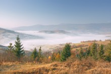 ..............Утренняя свежесть............. / Первок утро в Карпатах. Не забываем жать F11 для просмотра)))