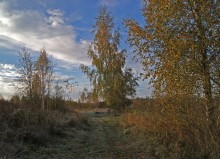 прогулка в осень / ,,,,,,,,,,,,,,,,