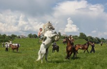 Сельские забавы / Скачки, лошади,жеребец,лихой всадник