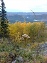 Осенний Алтай. / На фото долина реки Катунь.