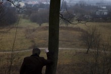 В позднюю осень... / -----
