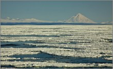 раздвигая льды... / Охотское море