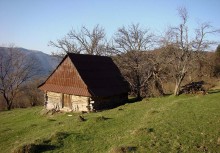 На склонах Паленого Груня / Карпаты, Закарпатская область.