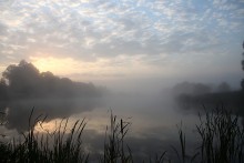 Туманное утро / Утро, рассвет , туман, озеро