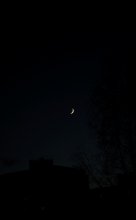 A Night on the Town / Ночь в городе