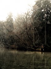 осень на Свитязи / Новогрудский район, Гродненская область.