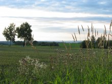 красота земная / красота земная