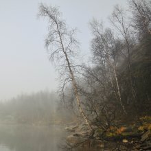 Berezy / осень озеро