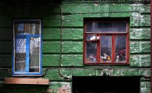 Кот в окне / Киев
