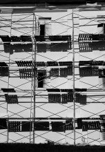 Shadows / Несвиж