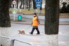 дама с собачкой / __________________