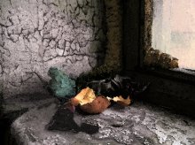 Перед окном / натюрморт