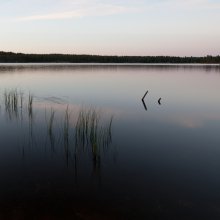 Две палки / без комментов