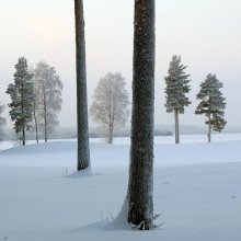 Неправильная композиция / совсем неправильная