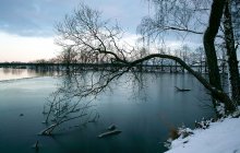 В ледовом плену / ___________________*