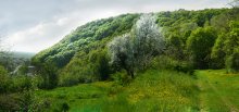 Майский склон / Нравится внезапно выглянувшее солнце из-за туч, на краткое время осветившее часть заросшего лесом склона...