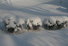  / Снегом замело