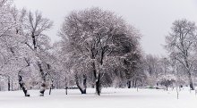 Снежный пейзаж / Снежный пейзаж