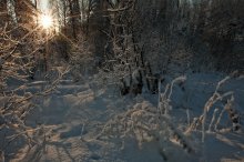 В гостях у Деда Мороза / ВСЕХ С НАСТУПАЮЩИМ  НОВЫМ 2012 ГОДОМ!
