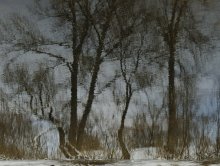 Отражения. / Вода,отражение.