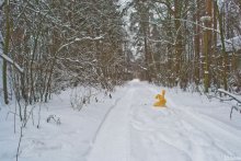 Задумчивый заяц) / Раз, два, три, четыре, пять вышел зайчик погулять)!