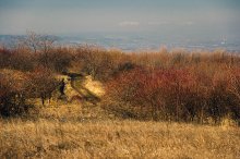 Деревня дороге / Деревня дороге.