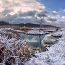 Январская снежная / пейзаж