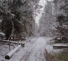 ~Winter Road~ / .....