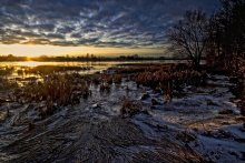 подмёршие.... / тихий берег