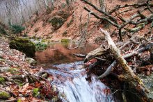 Осенний ручеек. / Генеральское, АР Крым